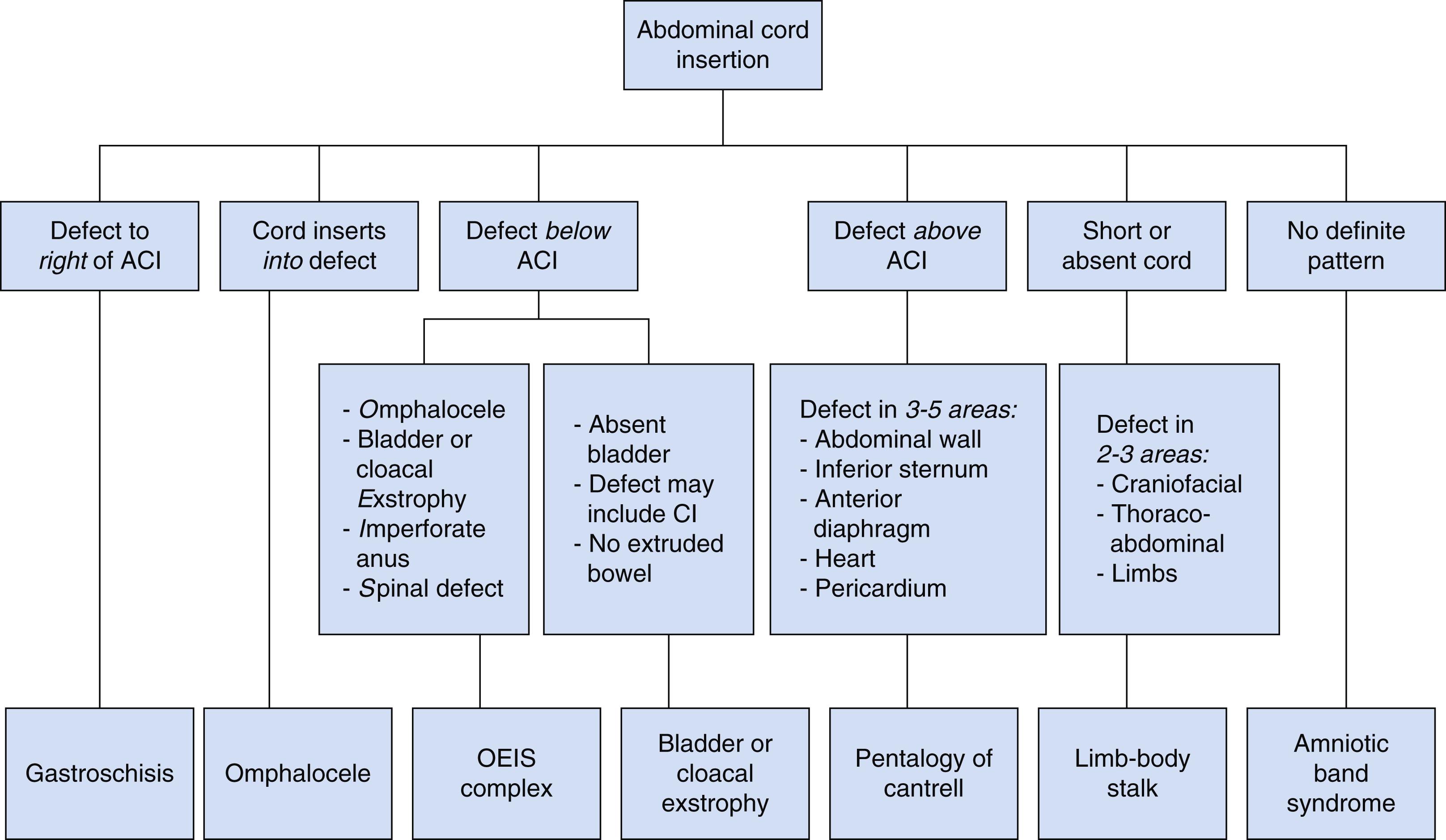 Figure 24.23, Diagnostic algorithm for suspected fetal abdominal wall defects.