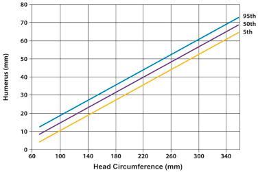 FIG 11-13, Relationship between the head circumference (mm) and the length of the humerus (mm).