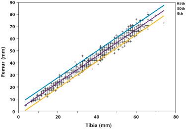 FIG 11-8, Relationship between the lengths of the tibia (mm) and femur (mm).