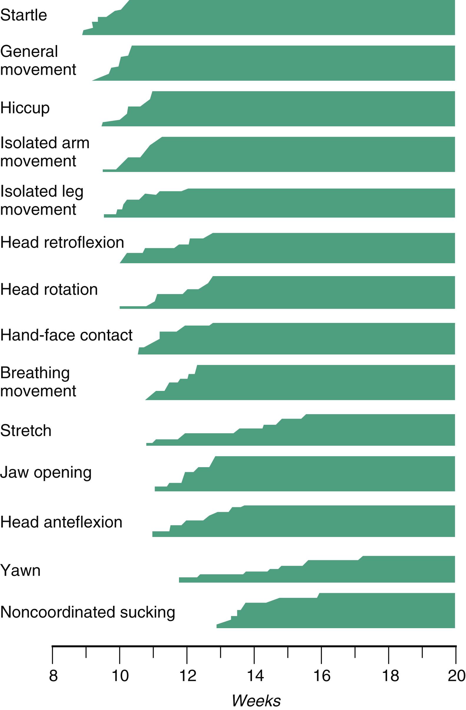 Fig. 18.7, Time of appearance of specific patterns of fetal motor movements.