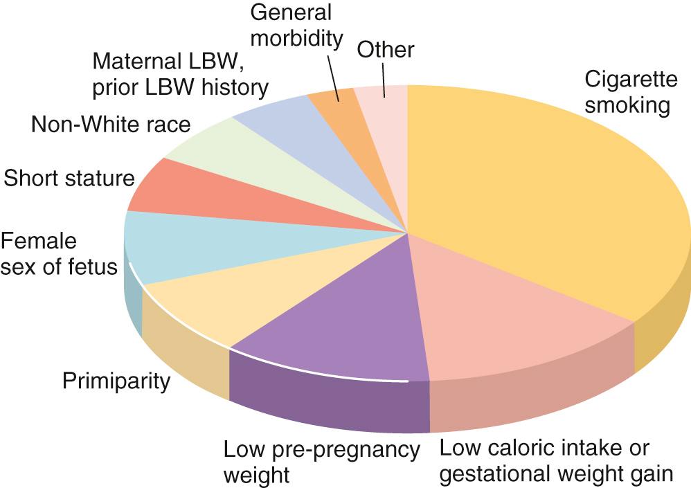 Figure 57-1, Relative importance of established factors with direct causal impacts on intrauterine growth retardation in developed countries. The sizes of the sectors do not reflect possible variations within countries related to sociodemographic factors. For discussion of growth restriction, see Box 57-1 . LBW, low birth weight.