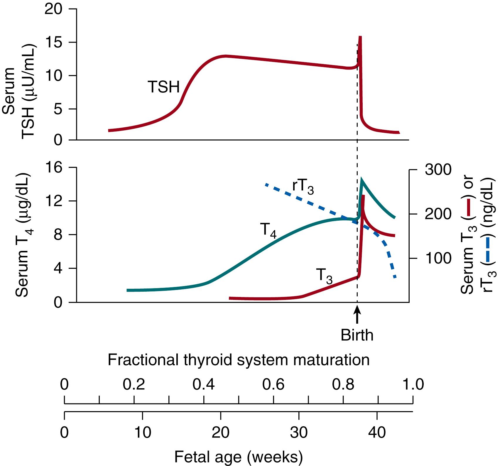 Fig. 145.3, Patterns of thyroid-stimulating hormone (TSH) and thyroid hormones in fetal and neonatal serum.