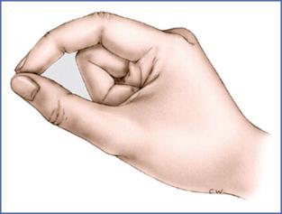 Fig. 9.4, Fine Pulp-to-Pulp Thumb-to-Index Pinch