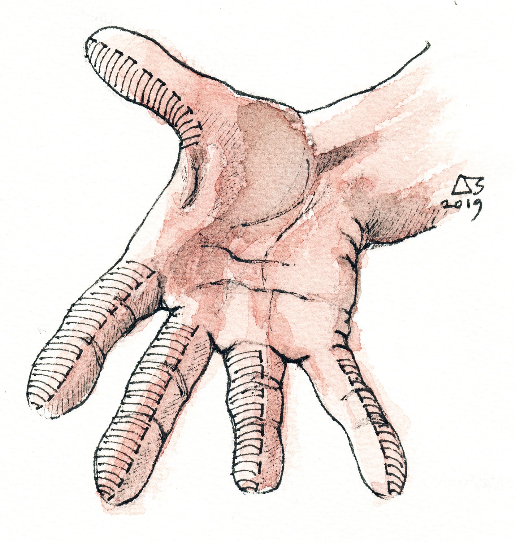 Fig. 46.1, The leading aspects of the digits.