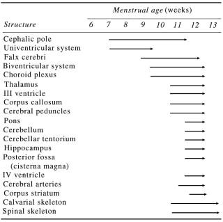 FIGURE 1-13, Sequential appearance of fetal neural structures during the first trimester.