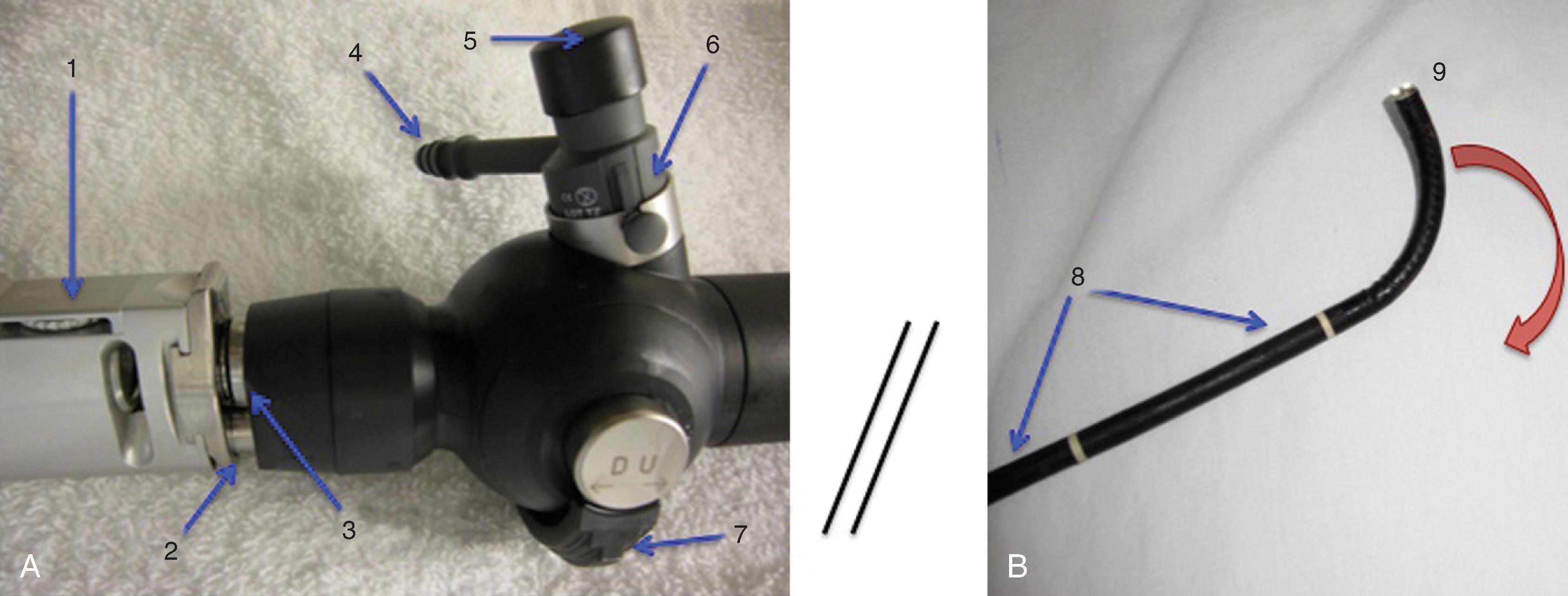 Fig. 24.2, (A) Flexible bronchoscope (FIS) handle (control section) design. 1, Focus-adjusting ring; 2, light source connection; 3, video output connection; 4, suction port; 5, valve; 6, working channel; 7, angulation control lever. (B) FIS insertion tube leading to flexible tip: 8, insertion tube; 9, flexible tip.