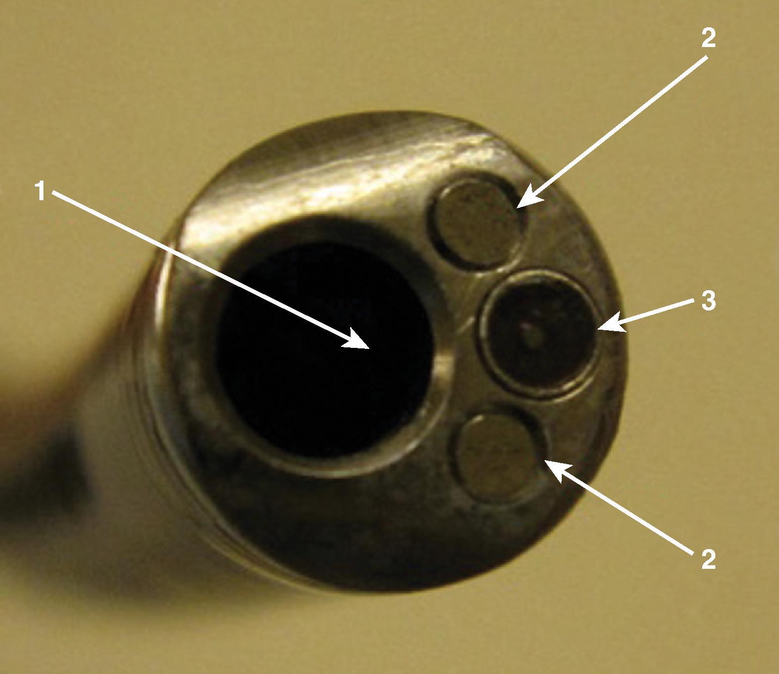 Fig. 24.4, Flexible scope tip components. 1, Working channel; 2, two angulation wires; 3, cladded fiberoptic-lighted bundle.