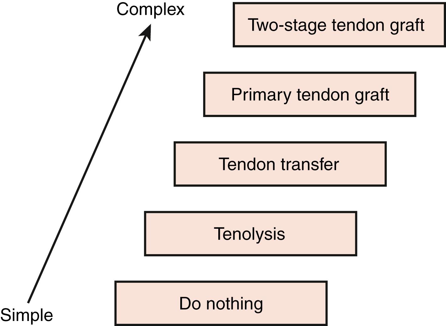 Fig. 6.19, Ladder of tendon reconstruction options.