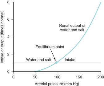 FIGURE 9.2, Analysis of arterial pressure regulation by equating the renal output curve with the salt and water intake curve. The equilibrium point describes the level to which the arterial pressure will be regulated. (That portion of the salt and water intake that is lost from the body through nonrenal routes is ignored in this figure.)