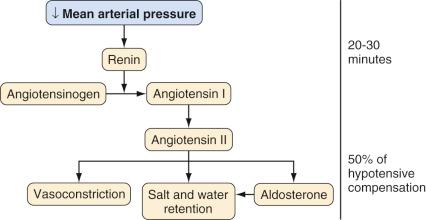 FIGURE 9.3, Physiologic responses to hypotension.