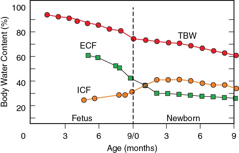 Fig. 3.2, Changes in body water compartments through advancing gestational age and postnatally.