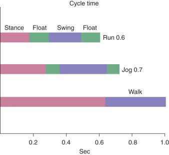 Fig. 110.2, Variations in the gait cycle. The stance phase of walking is greater than 50% of the total gait cycle. As the transition to jogging is made, a float period is incorporated during which neither foot is in contact with the ground. As running speed increases, stance phase decreases and the float phase increases. In the illustration, the walking pace is 16 minutes per mile, jogging is 9 minutes per mile, and running is 5 minutes per mile.