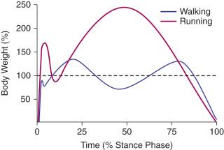 Fig. 110.3, Comparison of vertical ground reaction force for walking (blue line) versus jogging (red line) . The horizontal axis is scaled as a percentage of the total time in the stance phase for walking (0.6 seconds) and running (0.24 seconds). The vertical axis is shown as a percentage of body weight.