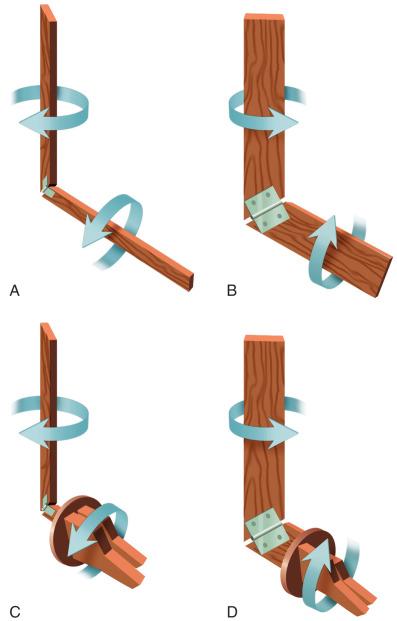 Fig. 110.8, The mitered hinge effect of the subtalar joint. The subtalar joint acts as a mitered hinge, linking motion between the calcaneus below and the tibia above (A and B). The model also demonstrates flattening and elevation of the longitudinal arch. Flattening of the longitudinal arch occurs at the time of heel strike with eversion of the calcaneus and internal rotation of the tibia (A and C). Elevation and stabilization of the longitudinal arch are associated with the outward rotation of the tibia, causing inversion of the calcaneus and locking of the transverse tarsal joint (B and D).