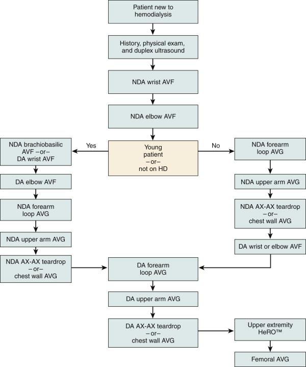 Figure 64-1, An algorithm to guide the sequence of access site selection. AVF, Arteriovenous fistula; AX-AX, axillary-axillary DA, dominant arm; HD, hemodialysis; NDA, nondominant arm.