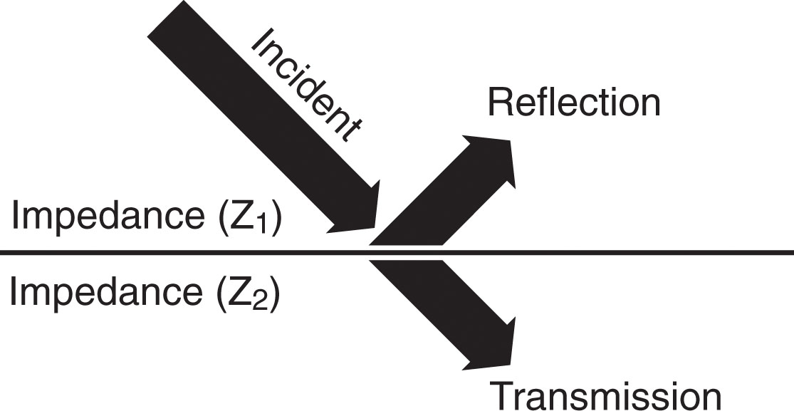 Fig. 1.11, Reflection occurs when a sound wave strikes an interface between two objects with different acoustic impedances, causing some of the energy to be transmitted across the interface and some of it to be reflected.