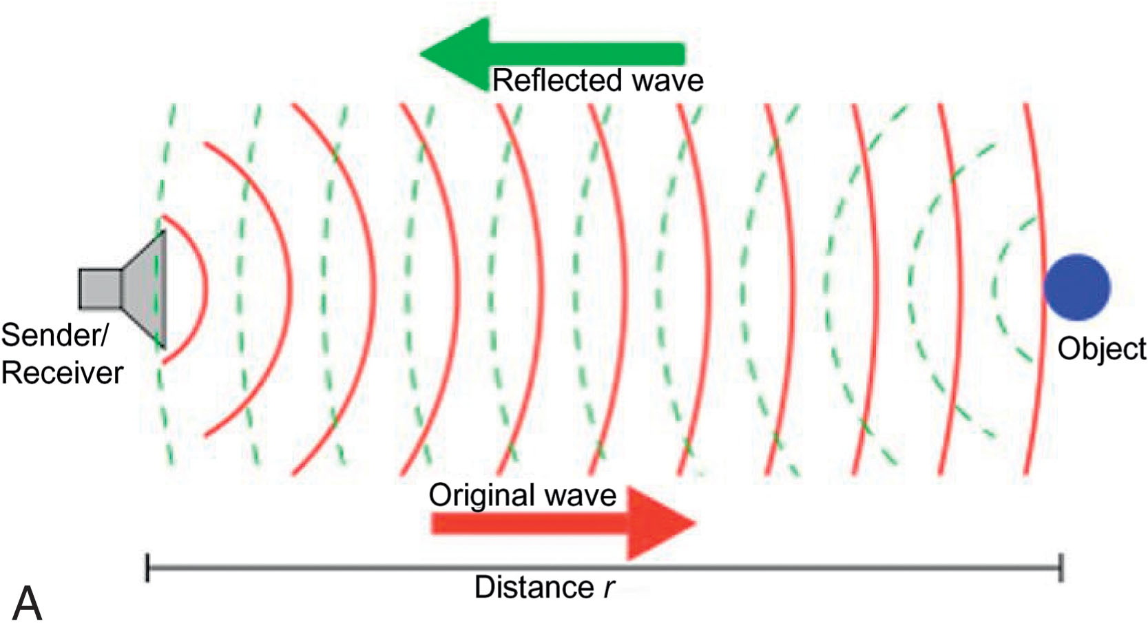 Fig. 1.9, (A) Ultrasound waves are created by a vibrating crystal within a ceramic probe. Waves travel through the tissue and are partly reflected at each tissue interface. (B) As the transducer element vibrates, waves undergo compression and expansion, or rarefaction, by which the molecules are pulled apart.