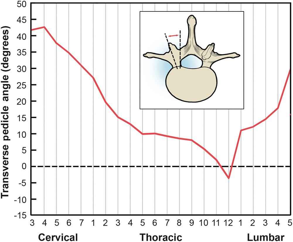 Fig. 4.5, Transverse pedicle angle versus spinal level.