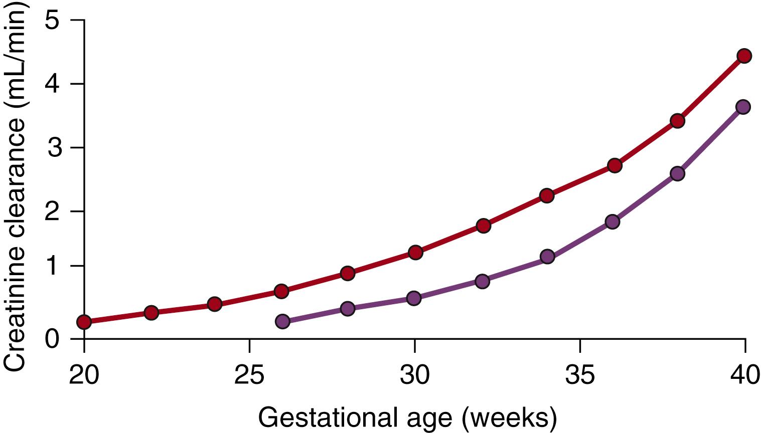 Fig. 94.6, Increase in fetal glomerular filtration rate (GFR) during gestation. Creatinine clearance was calculated from fetal urine and blood sample values during fetal life and in preterm infants, and used as a surrogate measure of fetal GFR. In both the fetus (upper line) and in the preterm infant (lower line) creatinine clearance increased with increasing gestational age.