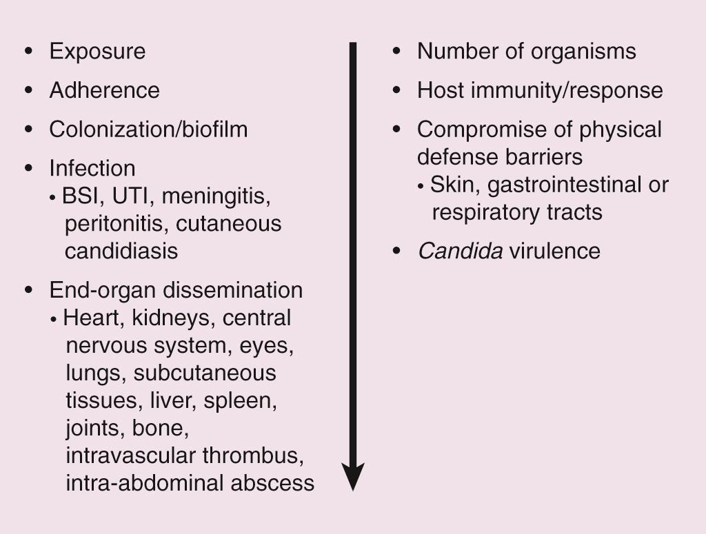 Fig. 49.2, Pathogenesis of invasive Candida infections.