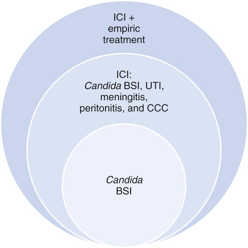 Fig. 49.4, Burden of invasive Candida infections (ICI). BSI, Bloodstream infection; CCC, congenital cutaneous candidiasis; UTI, urinary tract infection.