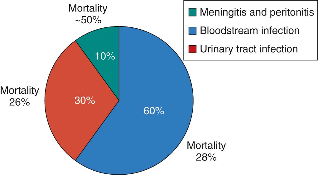 Fig. 49.5, Invasive Candida infections by site and mortality in extremely low birth weight infants. Although 60% were bloodstream infections, urinary tract infections and other sites accounted for an additional 40% and had similar or higher all-cause mortality. All-cause mortality at ≥2 sites was 57%.