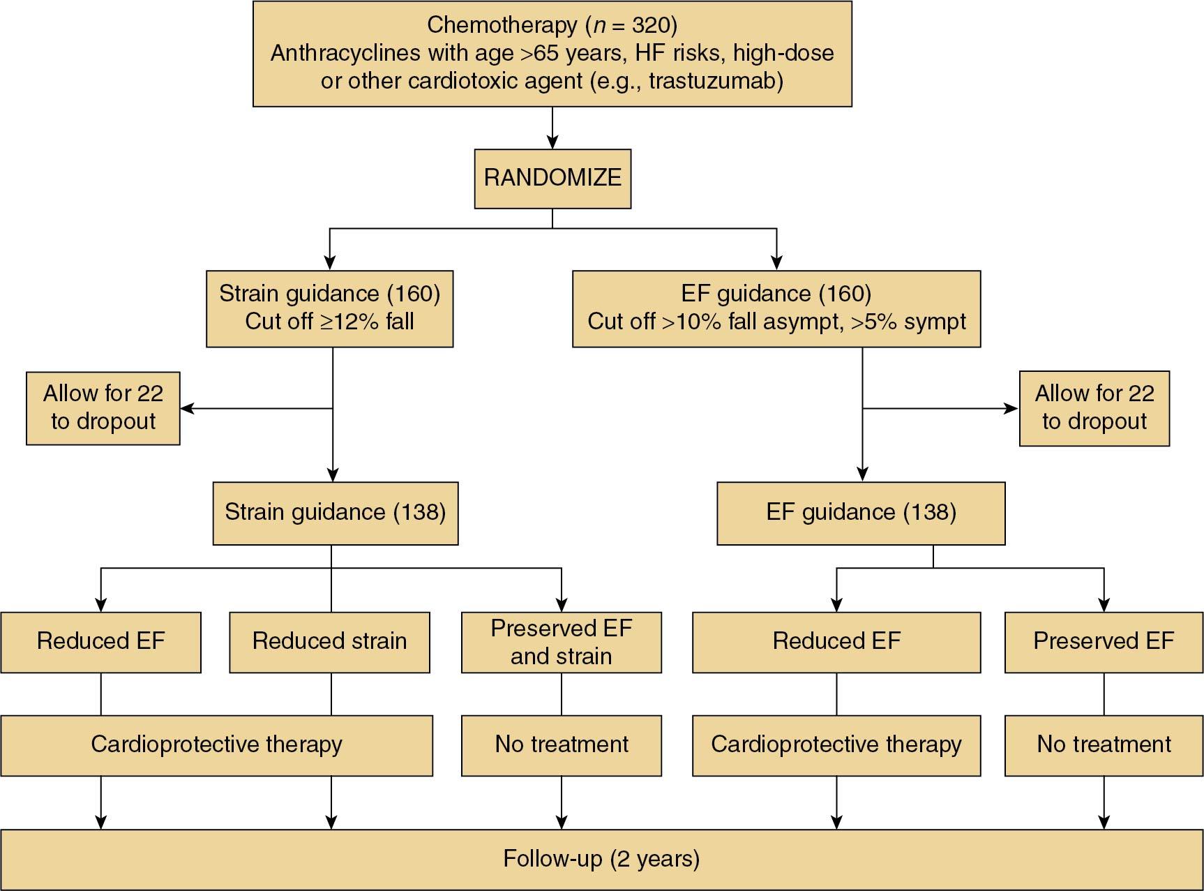 Fig. 10.3, Study design of Strain sUrveillance of Chemotherapy for improving Cardiovascular Outcomes (SUCCOUR) study. The figure shows the study flow chart of the SUCCOUR study, in which global longitudinal strain plays the key role of therapeutic guidance. Patients are randomized to modality (ejection fraction [EF] or global longitudinal strain. asympt , Asymptomatic; HF , heart failure; sympt , symptomatic.