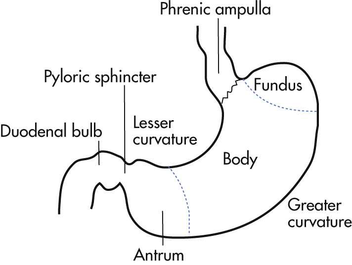 FIG. 3.16