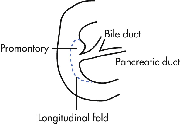 FIG. 3.23