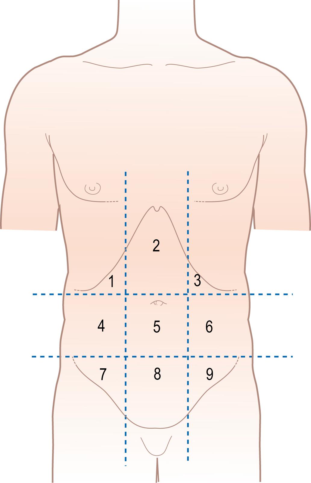 Figure 14.7, Regions of the abdomen. 1 and 3, right and left hypochondrium; 2, epigastrium; 4 and 6, right and left lumbar; 5, umbilical; 7 and 9, right and left iliac; 8, hypogastrium or suprapubic.