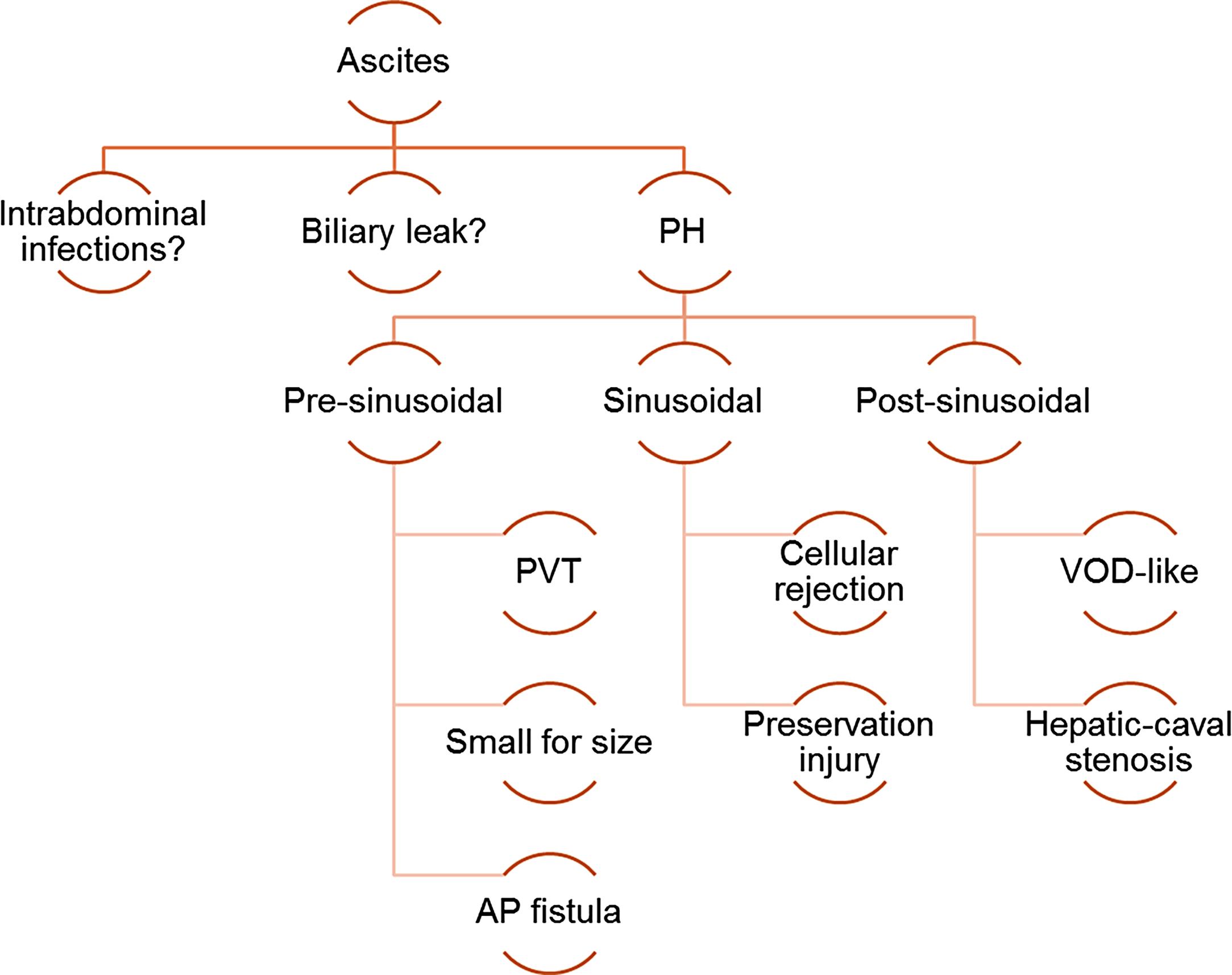 Fig. 22.3, Causes of large ascites early after pediatric liver transplantation. AP, Arterioportal; PH, portal hypertension; PVT, portal vein thrombosis; VOD, veno-occlusive disease.