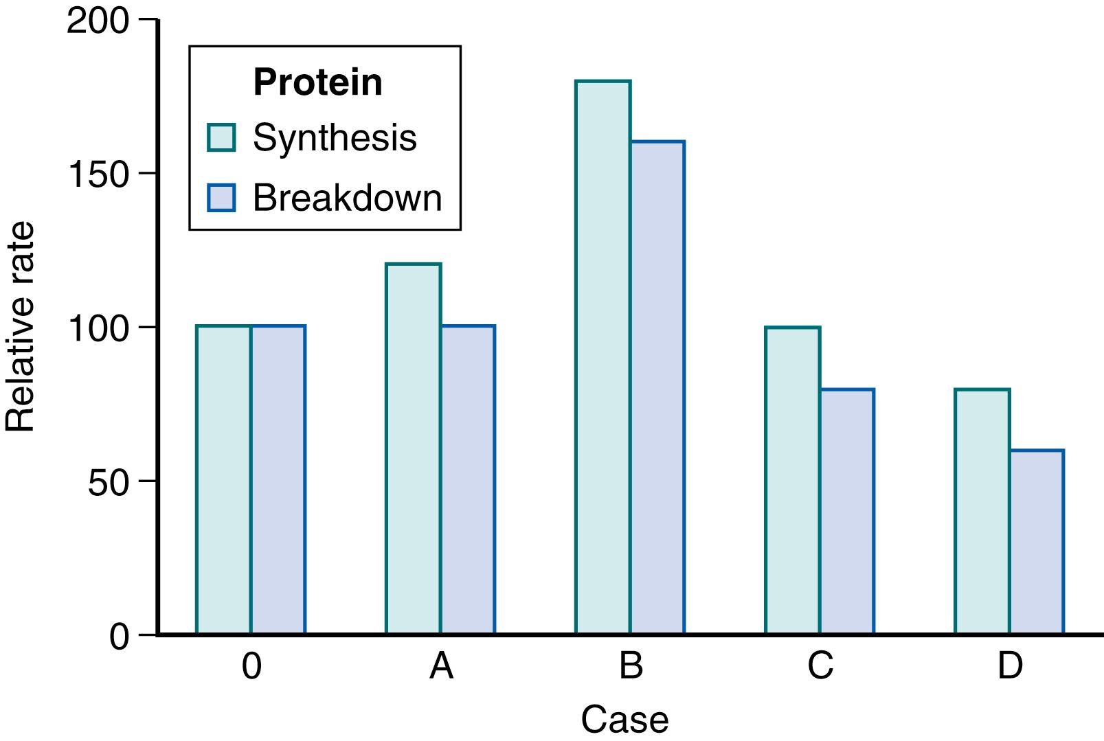 Fig. 40.1, Four different hypothetical responses to a change from a zero balance (case 0) to a positive nitrogen balance (cases A to D). A positive nitrogen balance can be obtained by increasing protein synthesis, as in case A; by increasing synthesis more than breakdown, as in case B; by decreasing breakdown, as in case C; or by decreasing breakdown more than synthesis, as in case D. The nitrogen balance method does not distinguish among any of the four possibilities.