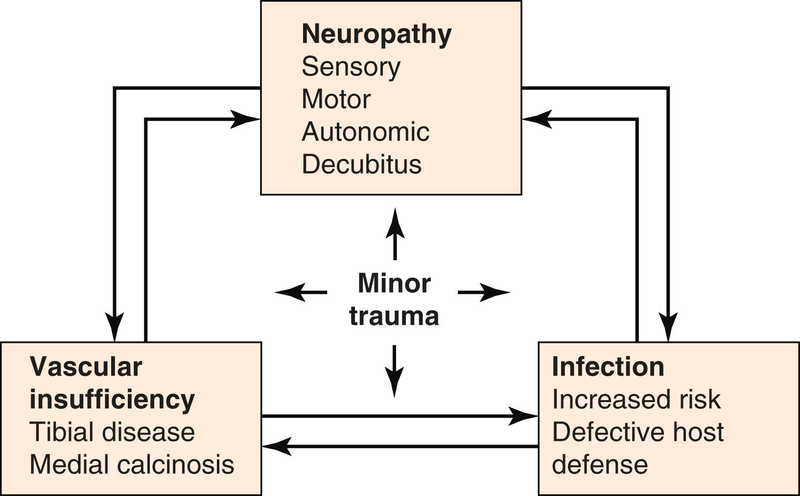 Figure 116.1, Multifactorial Etiology of Diabetic Foot Pathology.