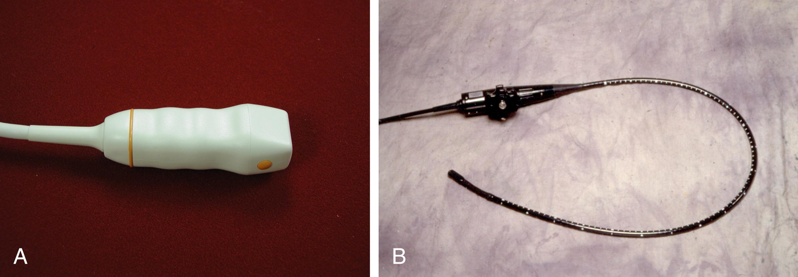 Figure 1.1, A, Transthoracic transducer. B, Transesophageal transducer.