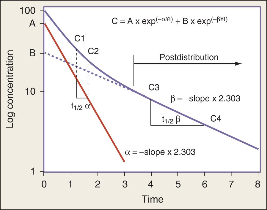 Fig. 139.4, Log concentration-time curve for a two-compartment model after intravenous administration, illustrating a distribution period (α) and postdistribution period (β). Concentrations C1 and C2 reflect both distribution and elimination processes, whereas concentrations C3 and C4 reflect postdistribution elimination processes.