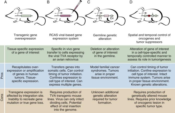 Figure 9-2, Genetically modified mouse models of cancer