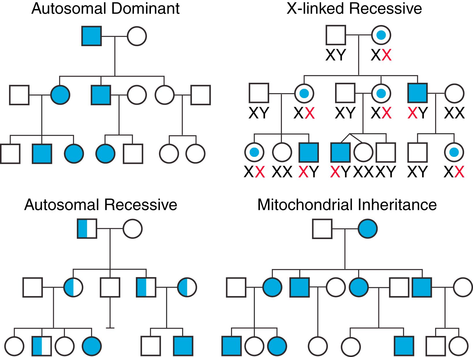 Fig. 69.1, Four most common modes of inheritance in cardiovascular genetic diseases.