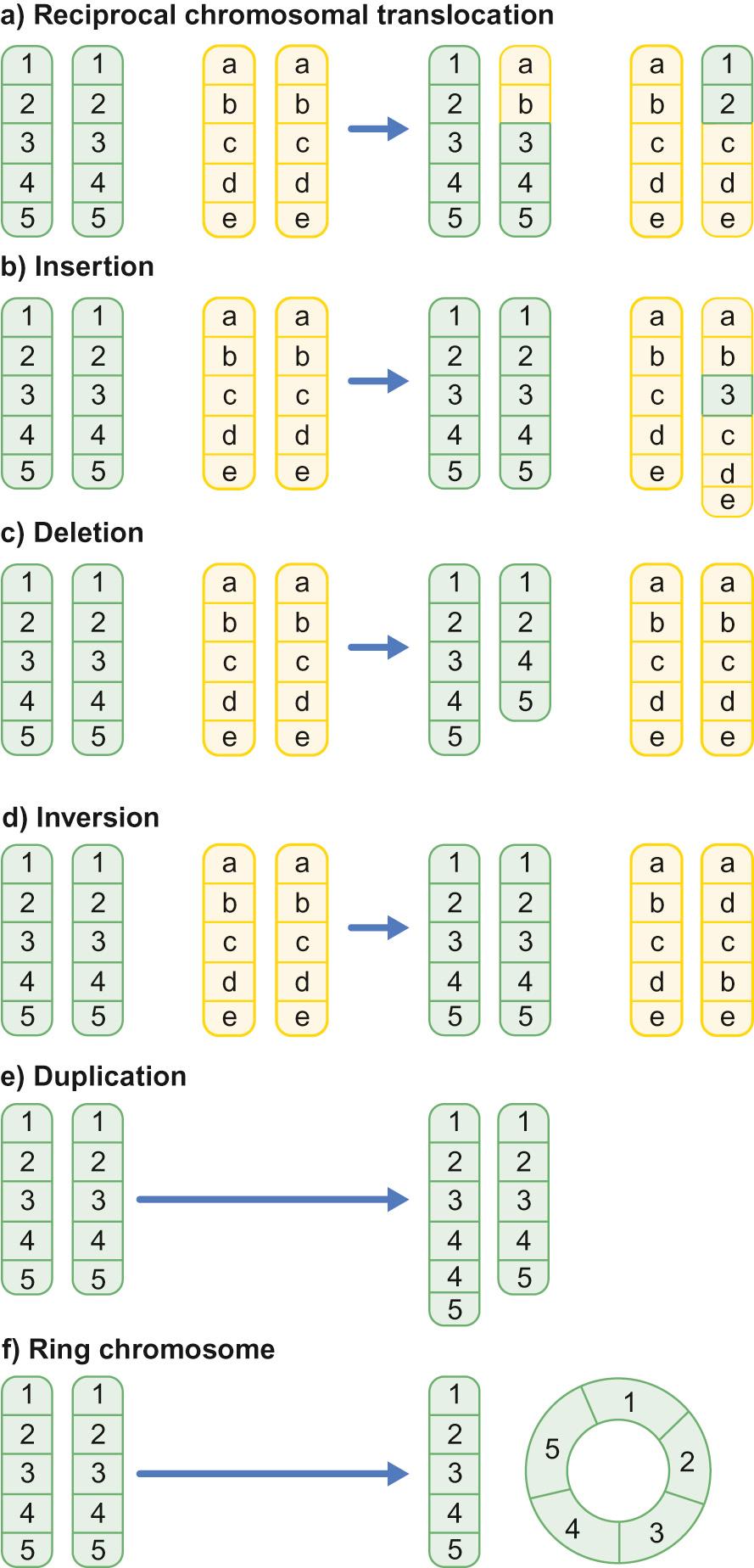 Fig. 9.2, Chromosome rearrangements.