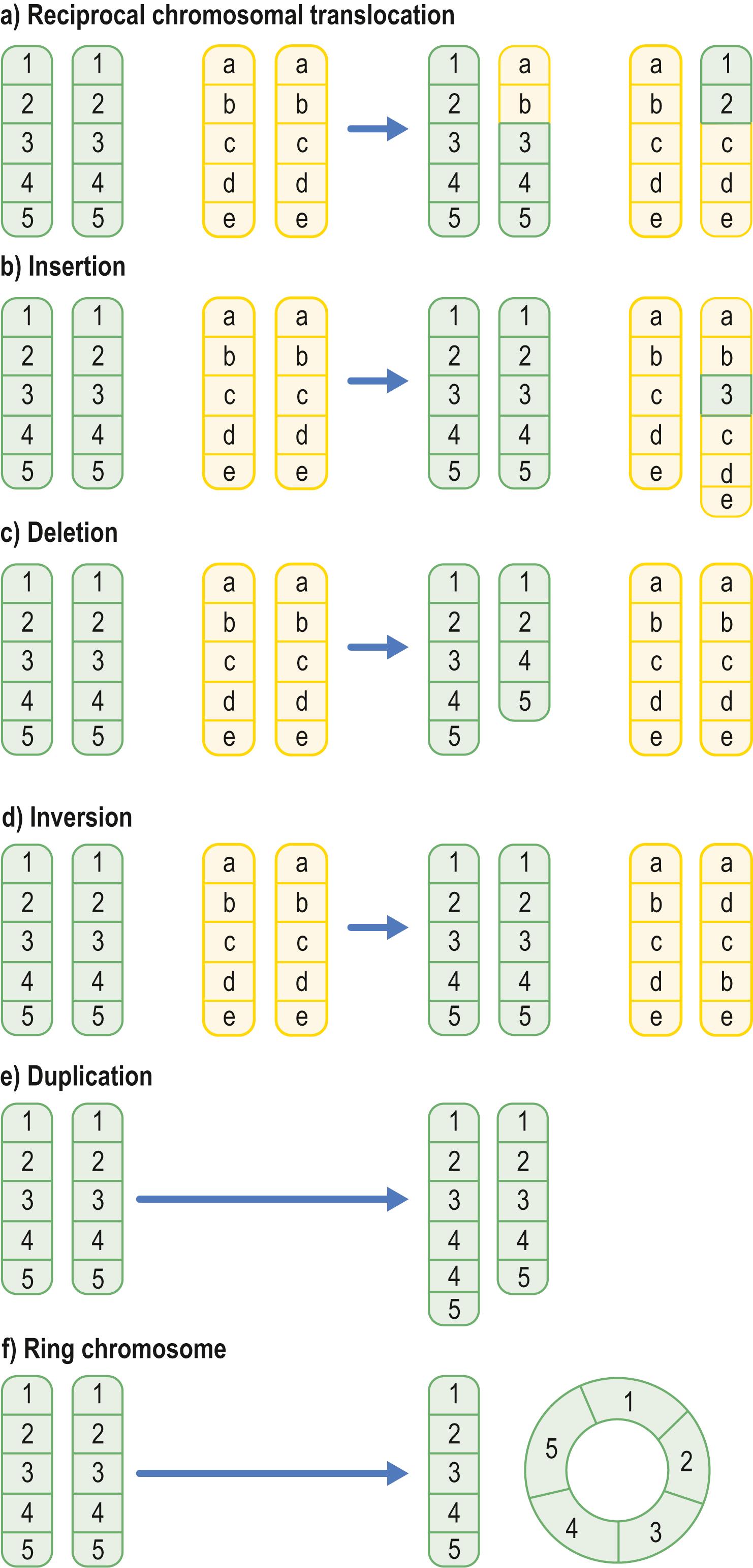 Fig. 5.1, Diagrammatic representation of chromosomal rearrangements