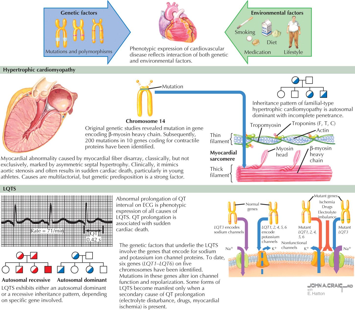 FIG 3.2, Genetic and Environmental Factors in Cardiovascular Disease.