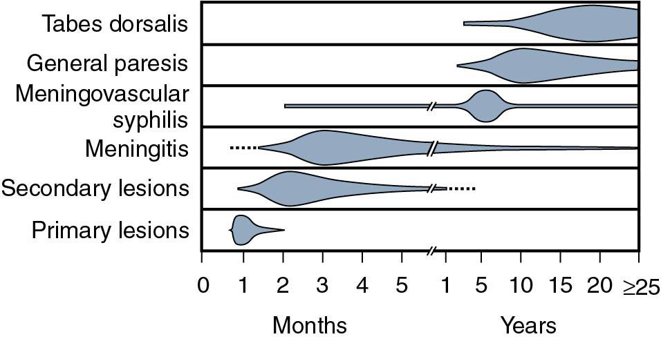 Fig. 23.15, Approximate time course of the clinical manifestations of early syphilis and neurosyphilis. Shaded areas corresponding to each syndrome represent the approximate proportion of patients with the syndrome specified and do not indicate the proportion of all patients with syphilis who have that syndrome.