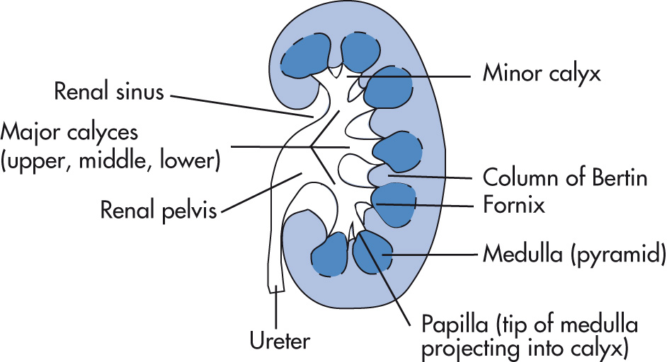 FIG. 4.1