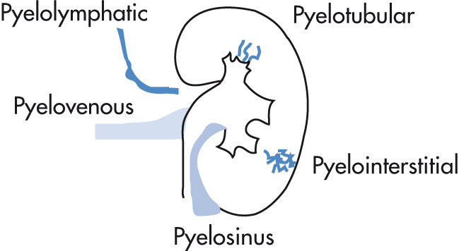 FIG. 4.13