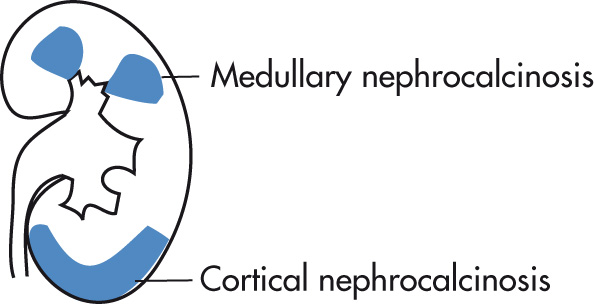 FIG. 4.8