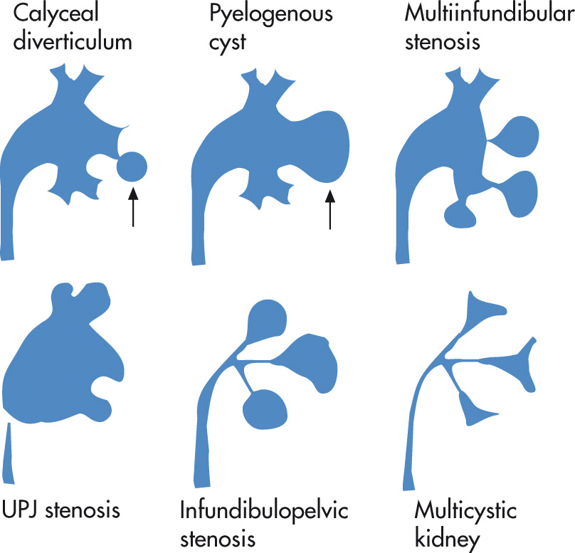 FIG. 4.9