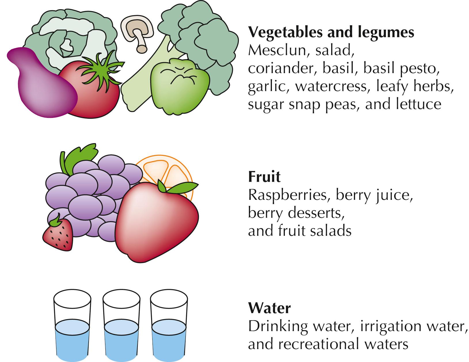 Fig. 78.1, Sources of cyclosporiasis.