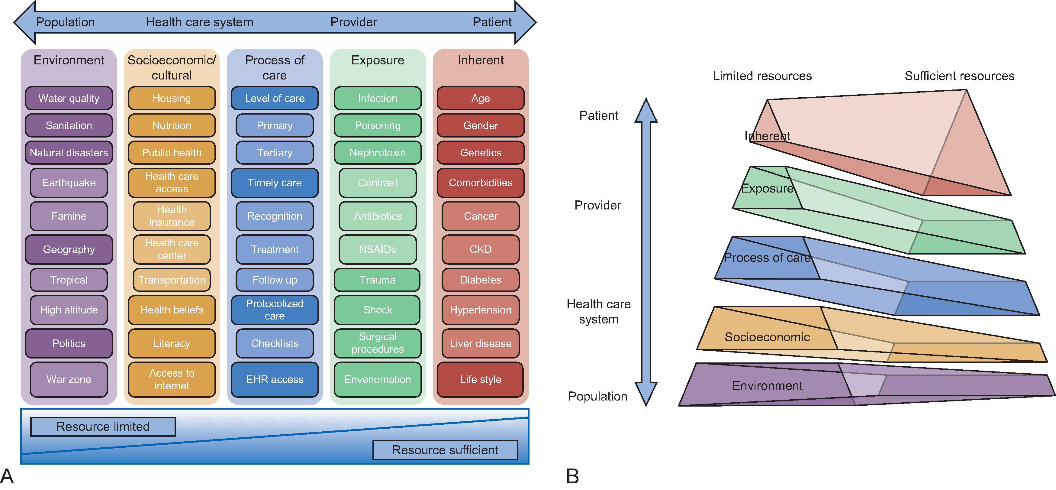 Fig. 49.1, Social and structural determinants of acute kidney injury (AKI) risk and access to care. Spectrum of risk factors and risk dimensions, relative to country resource capacity, and spanning the patient level, through the health system and the broader population. (From Kashani K, Macedo E, Burdmann EA, et al. Acute kidney injury risk assessment: differences and similarities between resource-limited and resource-rich countries. Kidney Int Rep. 2017;2:519-529.)