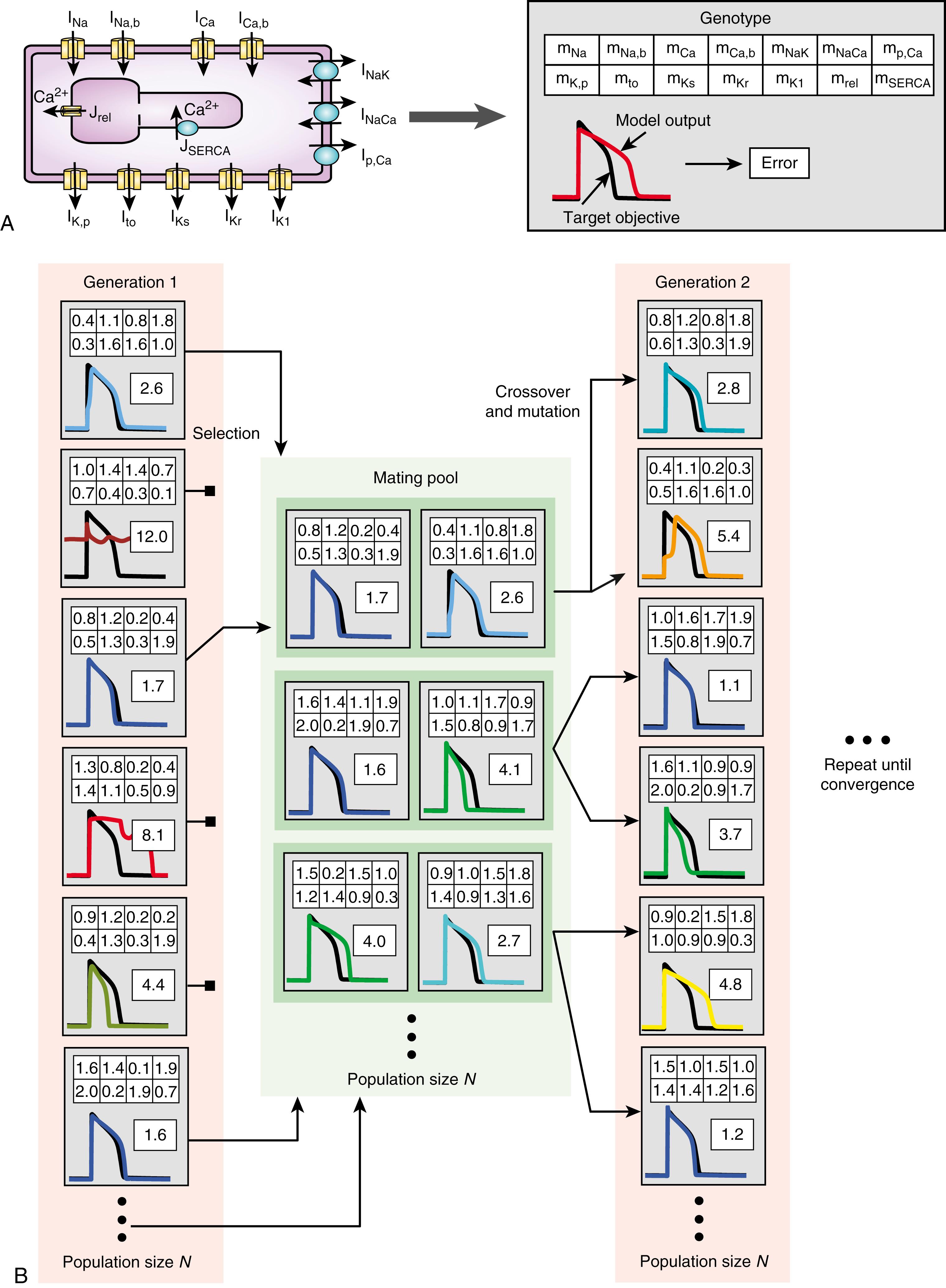 Fig. 31.2, Schematic of genetic algorithm principles.