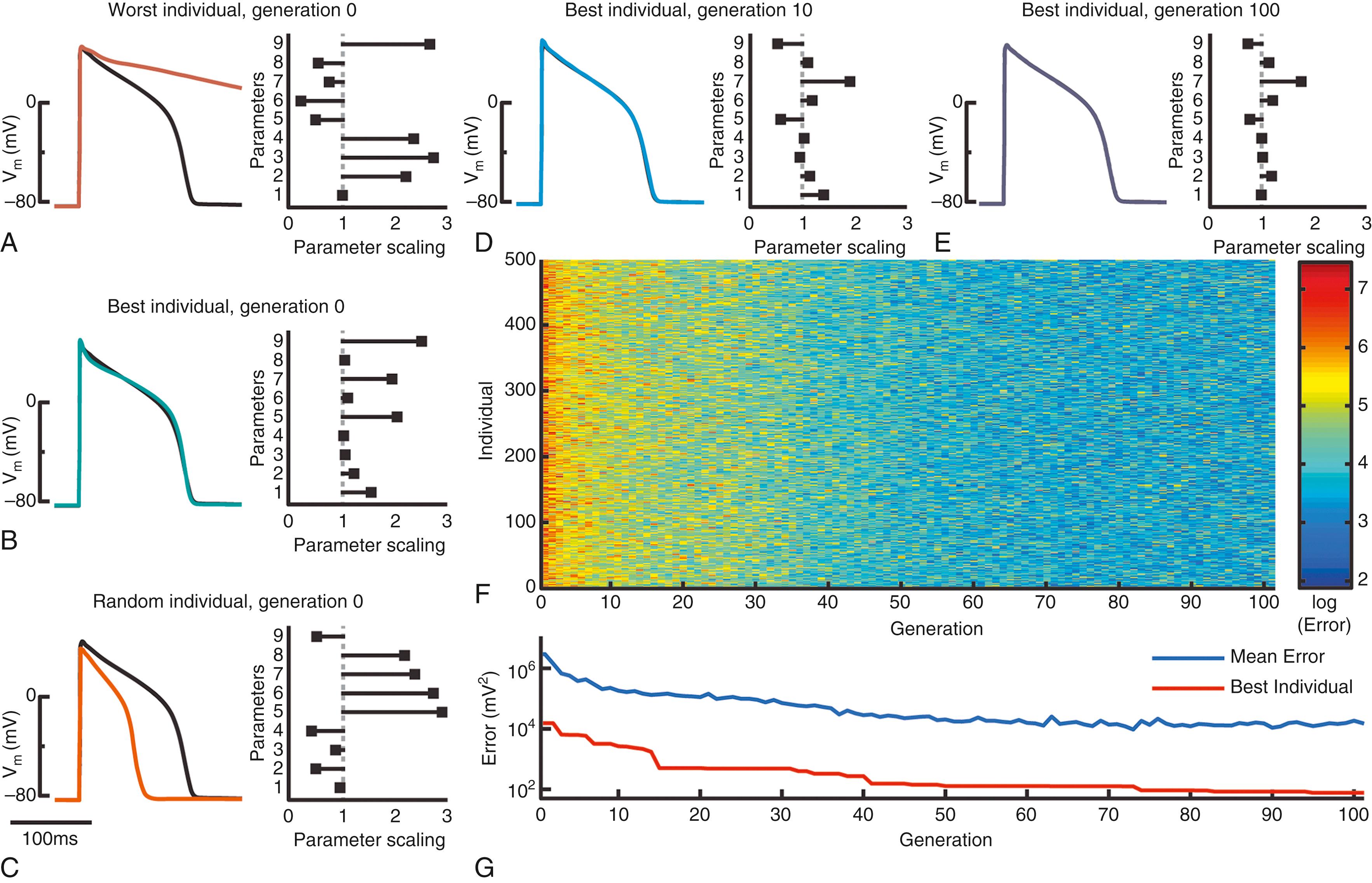 Fig. 31.3, Genetic algorithm optimization to single action potential objective.