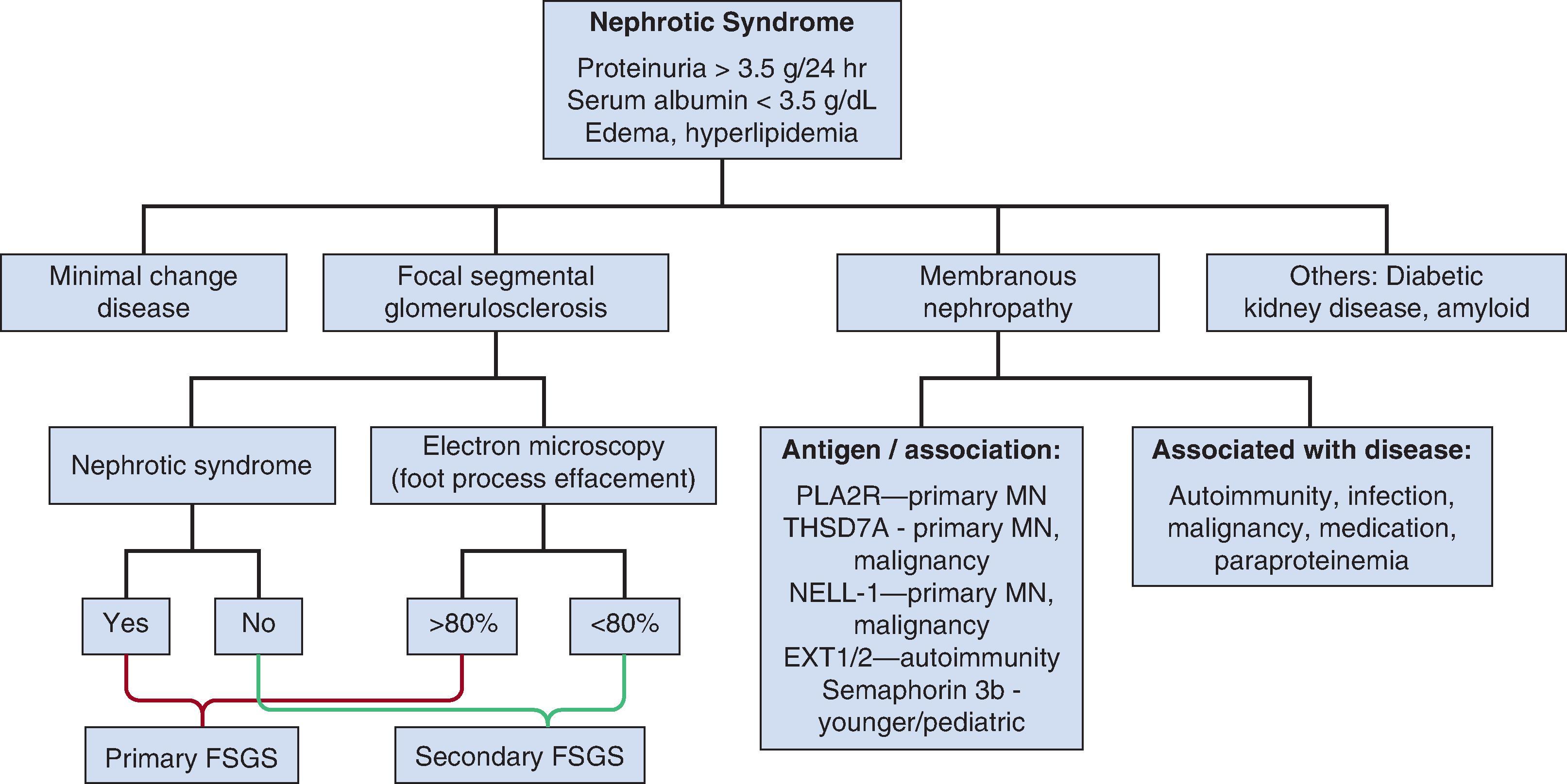 Fig. 16.1, Schematic showing the most common etiologies of nephrotic syndrome.